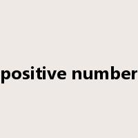 positive number是什么意思