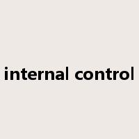 internal control是什么意思