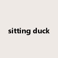 sitting duck是什么意思