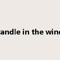 candle in the wind是什么意思