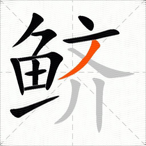 鲚