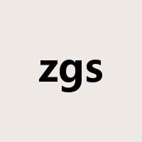 zgs是什么意思