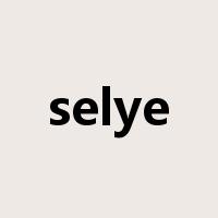 selye是什么意思