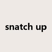snatch up是什么意思