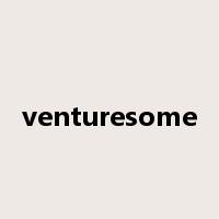 venturesome是什么意思