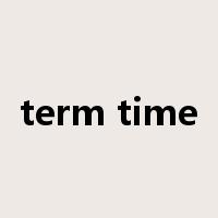 term time是什么意思