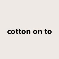 cotton on to是什么意思