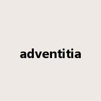 adventitia是什么意思