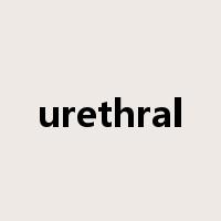 urethral是什么意思