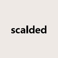 scalded是什么意思