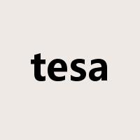 tesa是什么意思