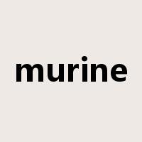 murine是什么意思