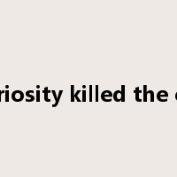 curiosity killed the cat是什么意思