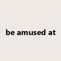 be amused at是什么意思