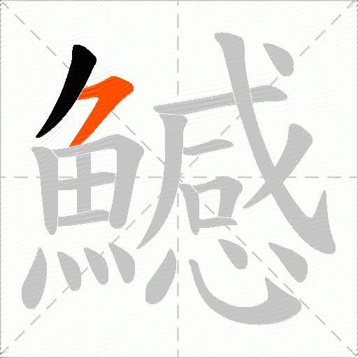 鱤