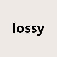 lossy是什么意思