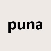 puna是什么意思