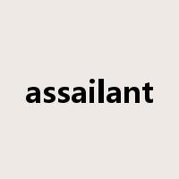 assailant是什么意思
