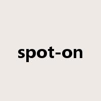 spot-on是什么意思