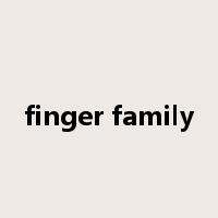finger family是什么意思