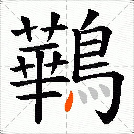 鷨