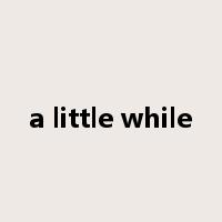 a little while是什么意思