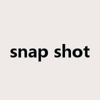 snap shot是什么意思