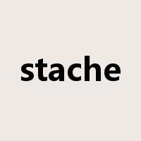 stache是什么意思