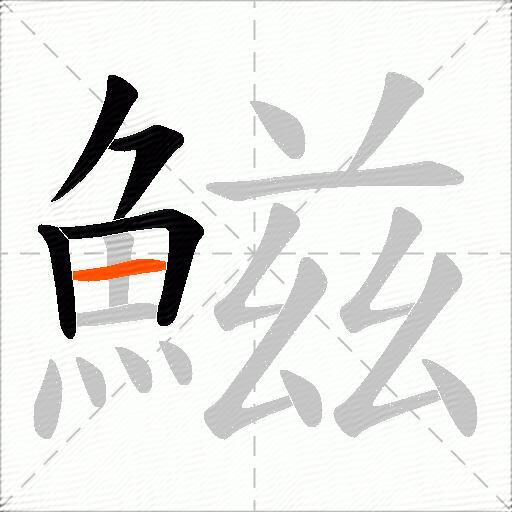 鰦