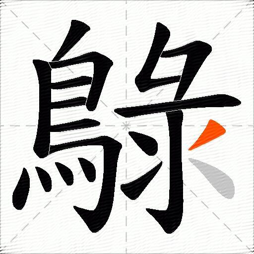 鵦