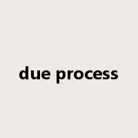 due process是什么意思