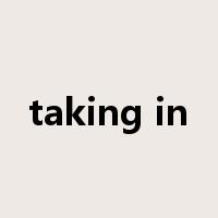 taking in是什么意思