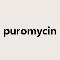 puromycin是什么意思