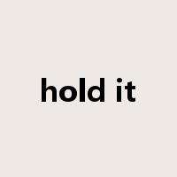 hold it是什么意思