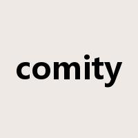comity是什么意思