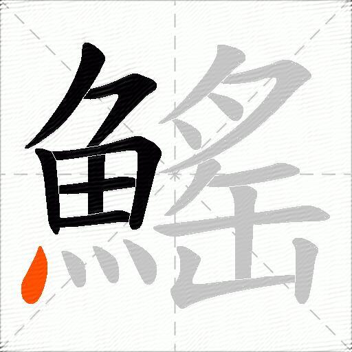 鰩
