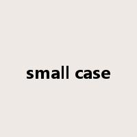 small case是什么意思