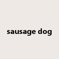sausage dog是什么意思