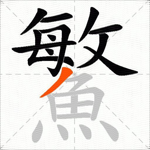 鰵
