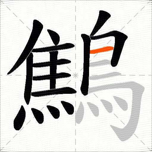 鷦
