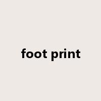 foot print是什么意思