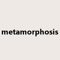 metamorphosis是什么意思