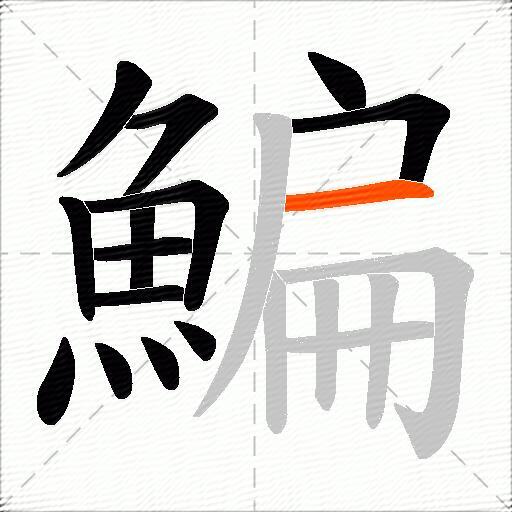 鯿