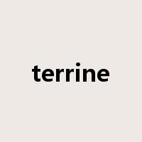 terrine是什么意思