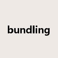 bundling是什么意思