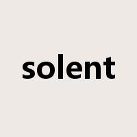 solent是什么意思