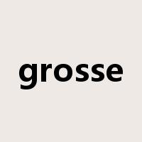 grosse是什么意思