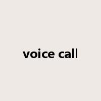 voice call是什么意思