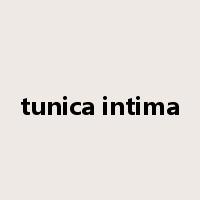 tunica intima是什么意思