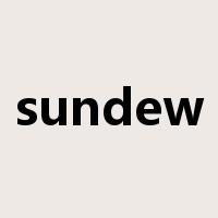 sundew是什么意思